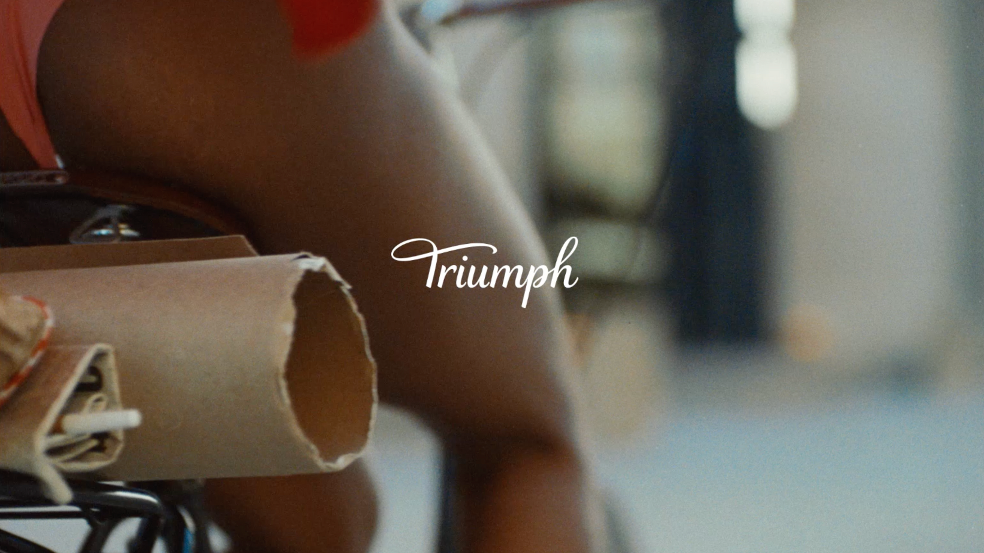 TRIUMPH LINGERIE